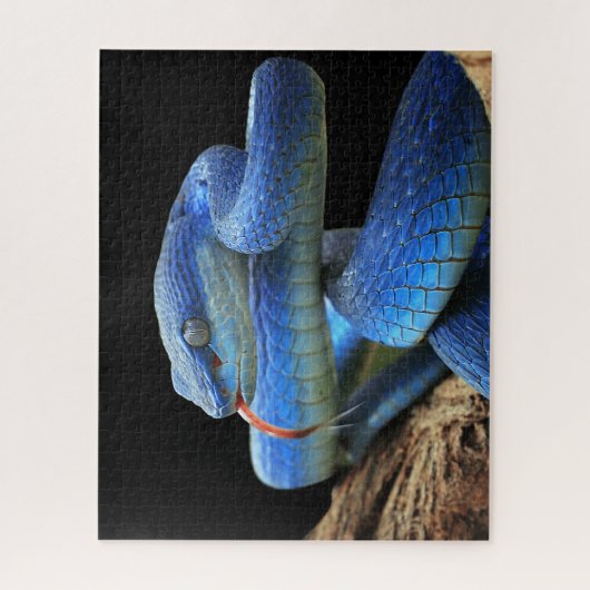ブルースネーク ジグソーパズル (縦)