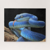 ブルースネーク ジグソーパズル (横)