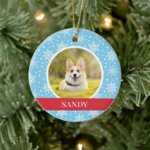 ブルースノーフレークドッグ