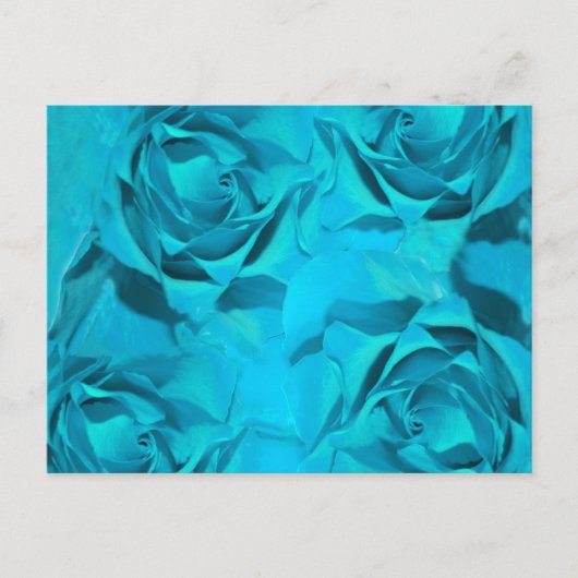 ブルースバラ ポストカード (正面)