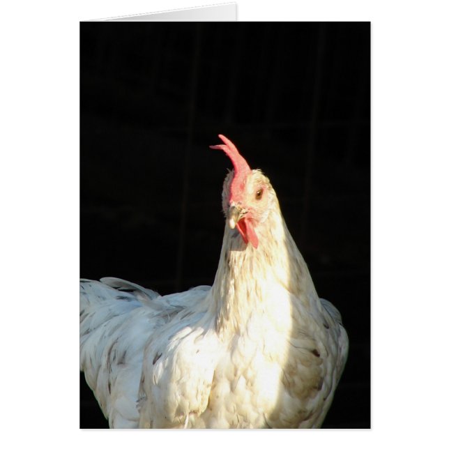 ブルースプラッシュヘン (正面)