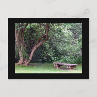 ブルースプルスパーク#3 ポストカード