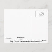 ブルースプルースパーク#2 ポストカード (裏面)