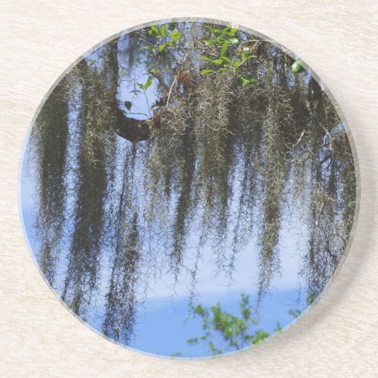 ブルースペインのリッジ山脈のモス コースター (正面)