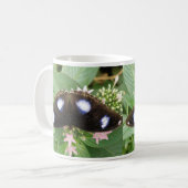 ブルースポッテッドバタフライマグ コーヒーマグカップ (正面左)