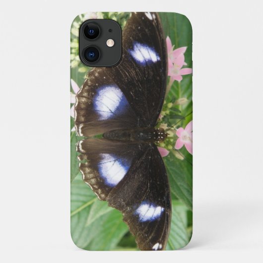 ブルースポッテッドバタフライiPhoneケース Case-Mate iPhoneケース (裏面)