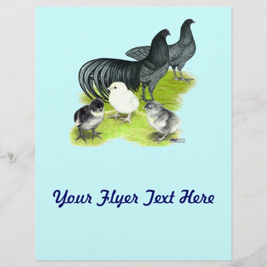 ブルースマトラファミリー チラシ (正面)