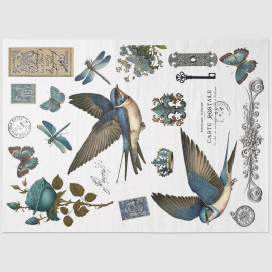 ブルースワローズクリップアートティッシュペーパー 薄葉紙 (正面)