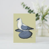 ブルースワローピジョン ポストカード (スタンド正面)