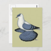 ブルースワローピジョン ポストカード (正面/裏面)