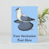 ブルースワロー鳩 招待状 (スタンド正面)