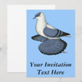 ブルースワロー鳩 招待状 (正面/裏面)