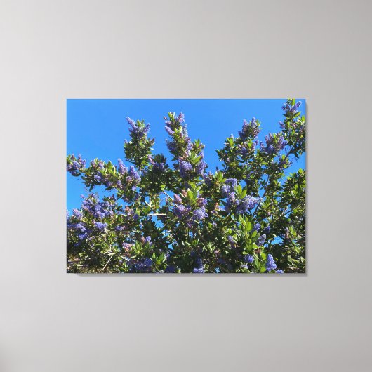 ブルース キャンバスプリント (正面)