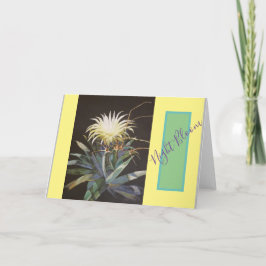 ブルース・チュニスによる「ナイト開花」 カード