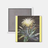 ブルース・チュニスによる「ナイト開花」 マグネット (正面/裏面)