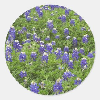 ブルース・パワー ラウンドシール