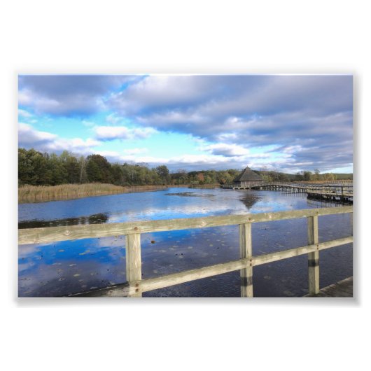 ブルース フォトプリント            (正面)