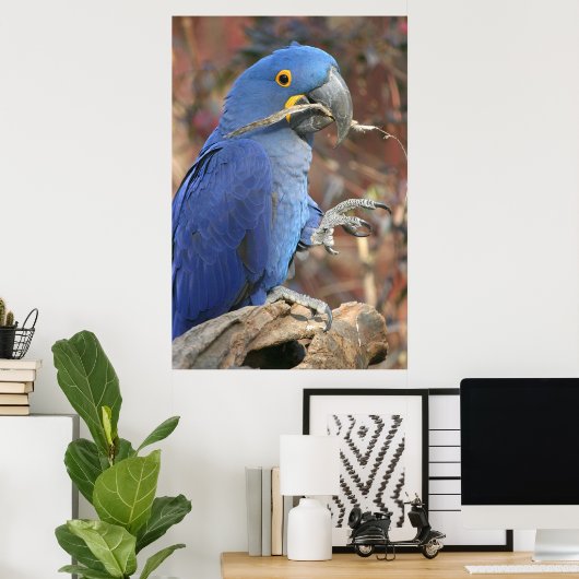 ブルース ポスター (ホームオフィス)