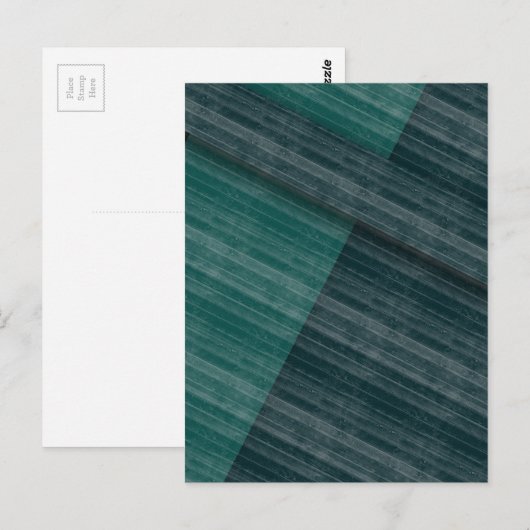 ブルース ポストカード (正面/裏面)