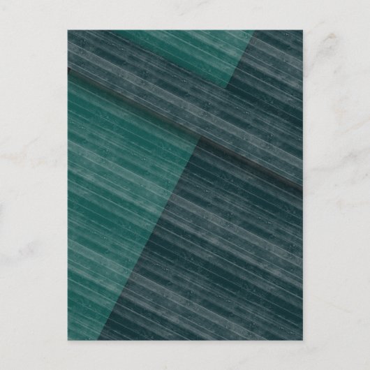 ブルース ポストカード (正面)