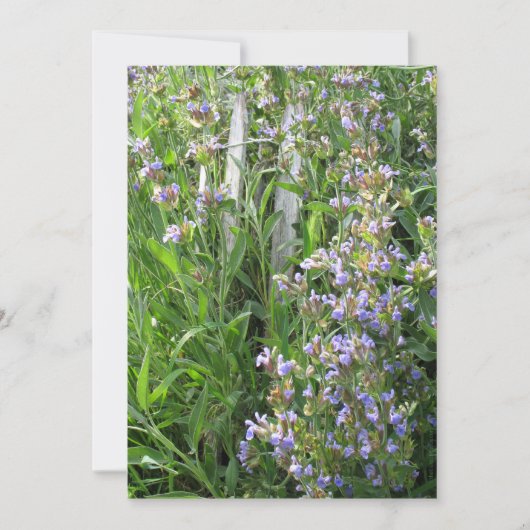 ブルーセージの花のカスタム招待状 招待状 (正面)