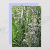 ブルーセージフラワーズカスタム招待状 招待状 (正面/裏面)