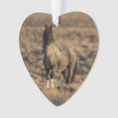 ブルーゼウスアットドーンワイルドフービートオーナメント オーナメント (正面)