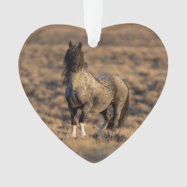 ブルーゼウスアットドーンワイルドフービートオーナメント オーナメント