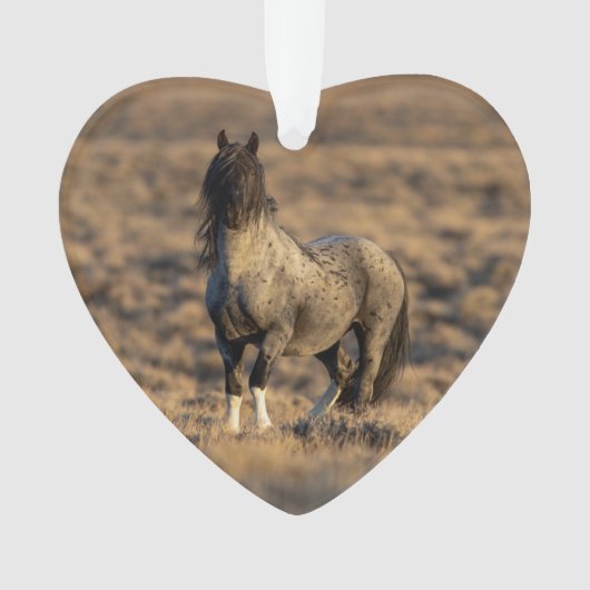 ブルーゼウスアットドーンワイルドフービートオーナメント オーナメント (正面)