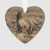 ブルーゼウスアットドーンワイルドフービートオーナメント オーナメント (裏面)