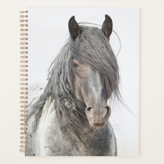 ブルーゼウスプランナー プランナー手帳 (正面)