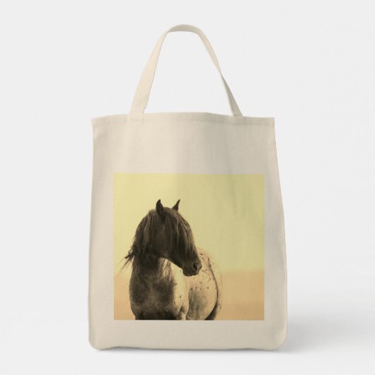 ブルーゼウス – トート (裏面)