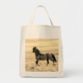 ブルーゼウス – トート (正面)