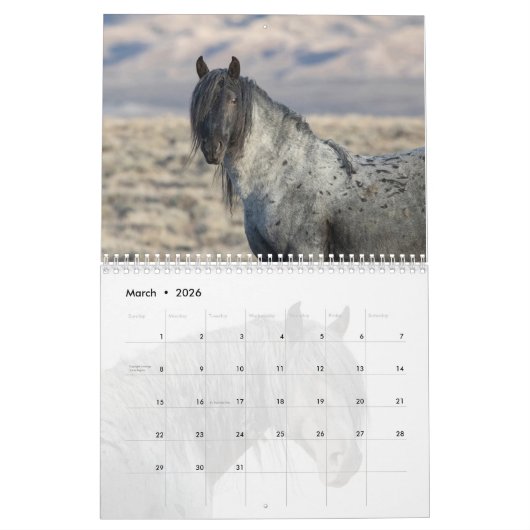 ブルーゼウス：赤い砂漠暦のハート カレンダー (3月 2026)