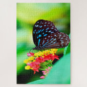 ブルータイガーティルマラ浜田蝶。 ジグソーパズル (縦)