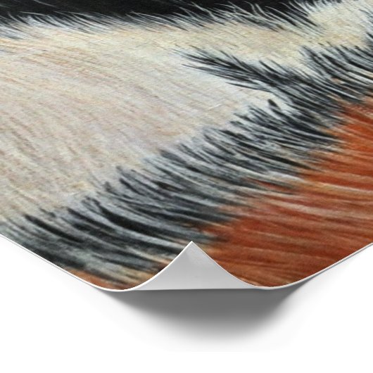 ブルータイガー ポスター (角)