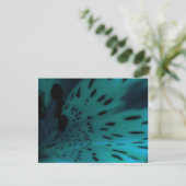 ブルータイガー ポストカード (スタンド正面)