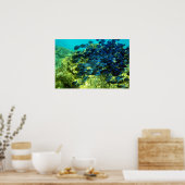 ブルータン学校 ポスター (キッチン)