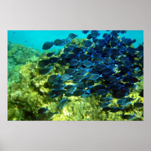 ブルータン学校 ポスター (正面)