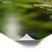 ブルーダッシャードラゴンフライ フォトプリント            (角)