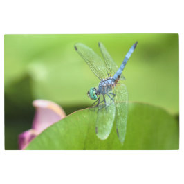 ブルーダッシャー メタルプリント