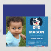 ブルーダルマチア誕生日招待状と写真 招待状 (正面/裏面)