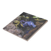 ブルーダーツカエルが個人宇宙を理解しない タイル (側面)