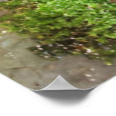 ブルーダーツ点々のあるカエル ポスター (角)