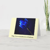 ブルーチューリップ カード (裏面)