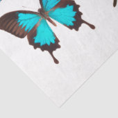 ブルーチョウチョウ蝶コレクションデカップージ 薄葉紙 (詳細)