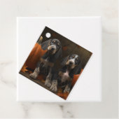 ブルーティックコンハウンドパピーオータムデライトカボチャ フェイバータグ (インサイチュ)