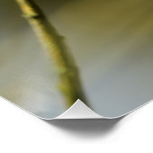 ブルーティットが木の枝に座っている ポスター (コーナー)