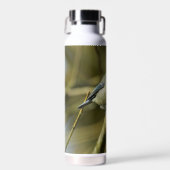 ブルーティットのボトルとトール熱の画像 ウォーターボトル (正面)