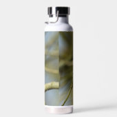 ブルーティットのボトルとトール熱の画像 ウォーターボトル (右面)